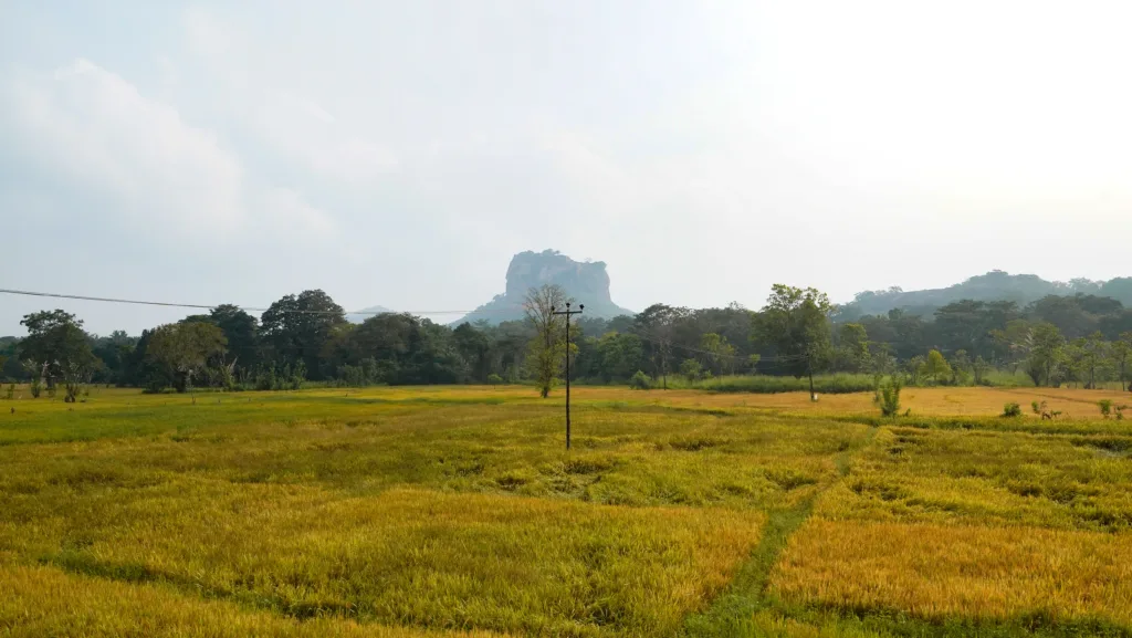 Sigiriya Accommodation - View From Kashyapa Kingdom